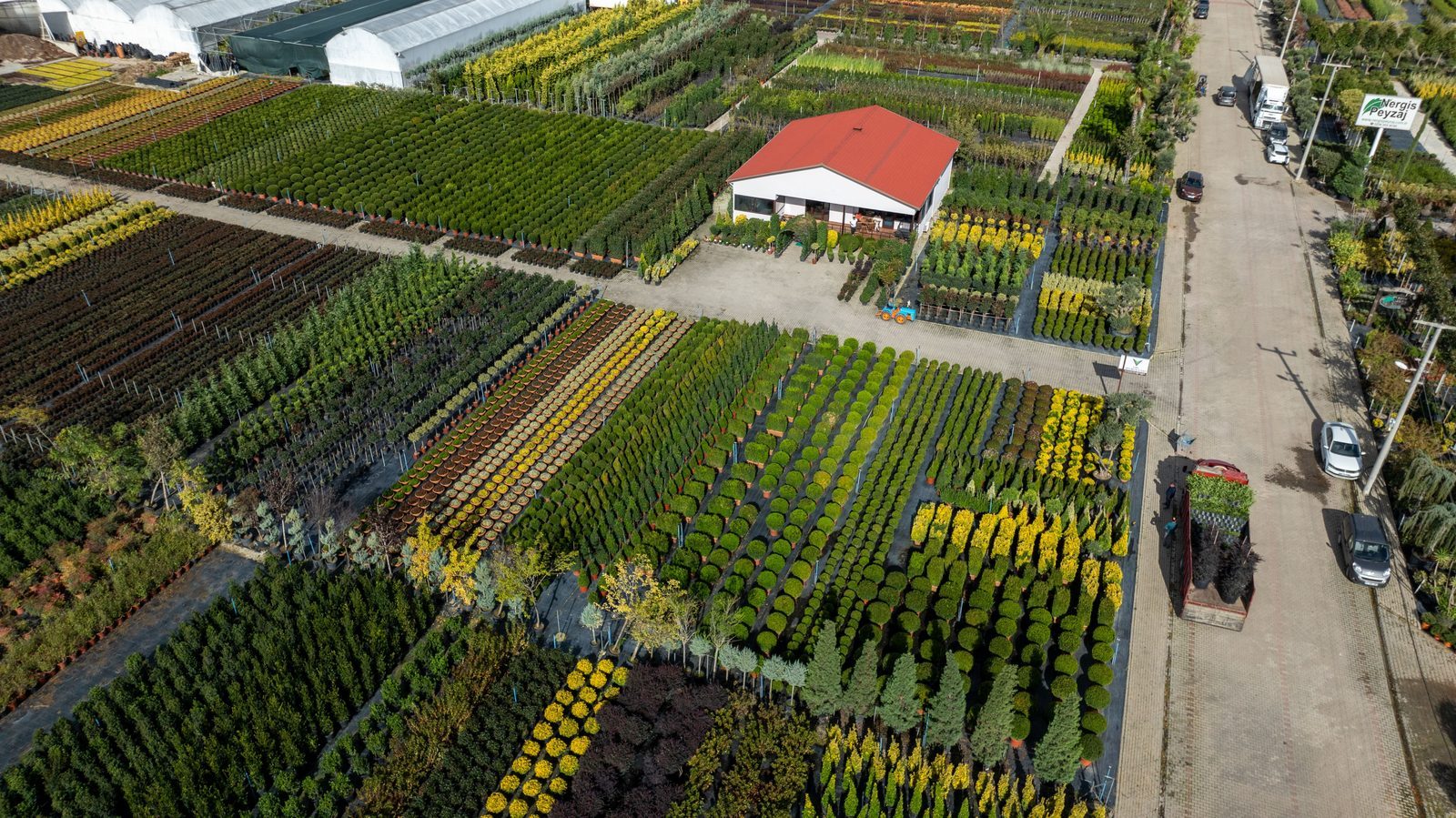 Photo from Grow House