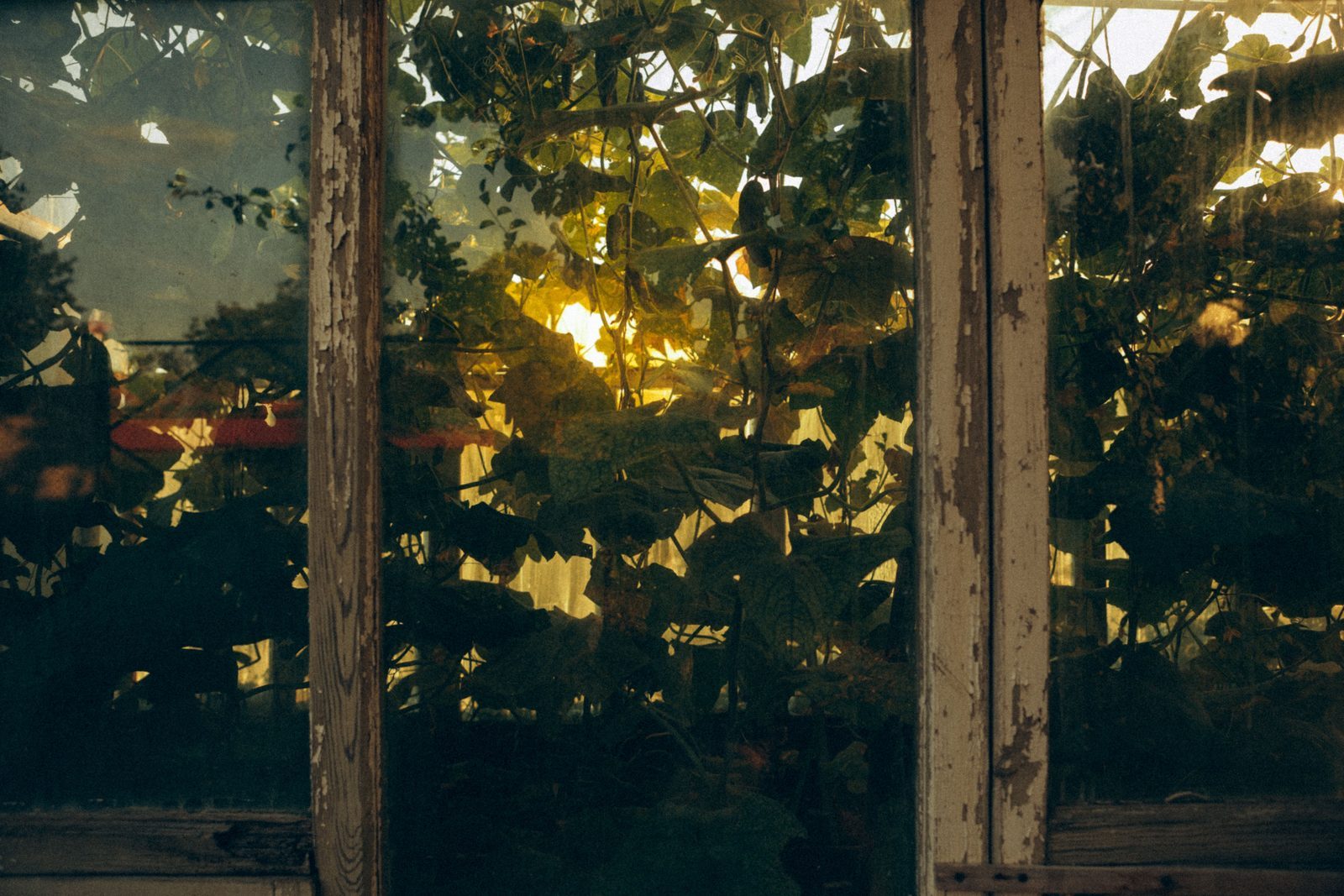 Photo from Grow House