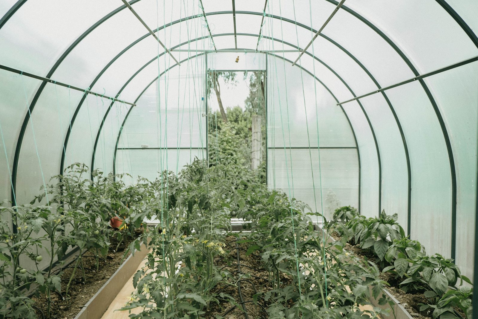 Photo from Grow House